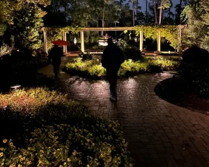 Pathway Lighting Installation By Holt Outdoor Lighting